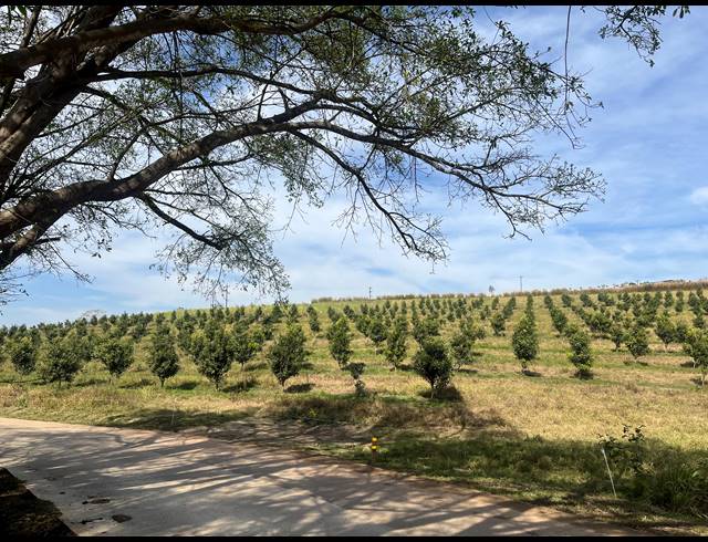 26,200M² VACANT LAND FOR SALE IN FAIRVIEW ESTATES